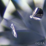 晶體（Crystal） 鑽石內部的一粒壙物結晶體。