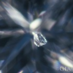 晶結（Knot） 一個白色或者是透明的鑽石結晶。